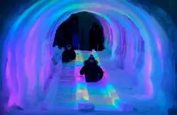 Holiday arts and entertainment: 15 fun family activities to light up the winter season